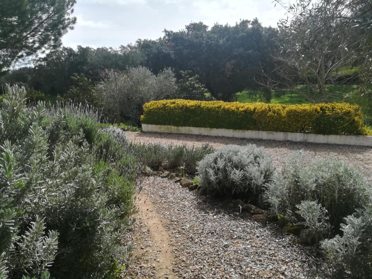 Quinta Do Cano Évora Exterior foto
