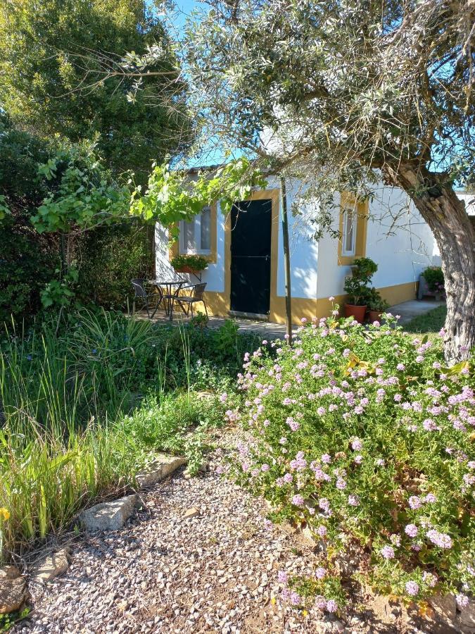 Quinta Do Cano Évora Exterior foto